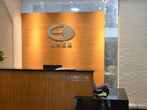 廣東揚（yáng）光照明宣傳片